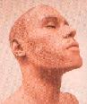 apollonenplastique